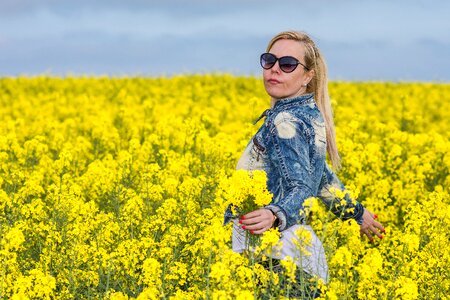 Hayfield oilseed blooming yellow field with rape photo