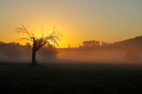 Landscape fog tree photo