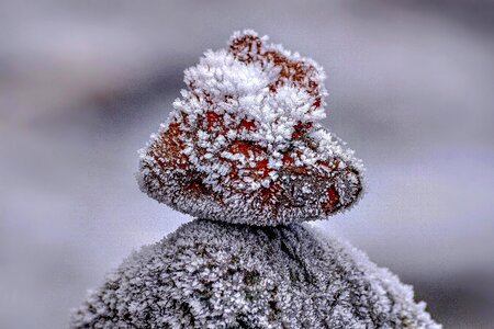 Balance winter cold