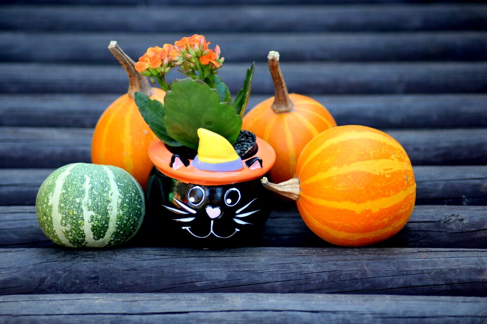 Halloween yellow orange