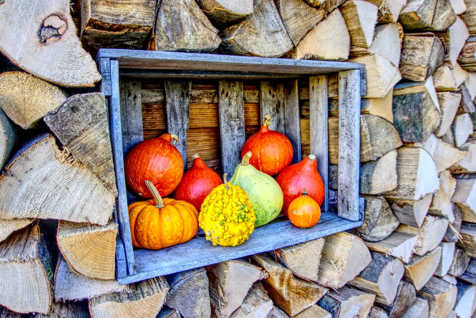 Eat decoration wood