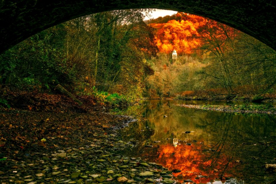 Riverbed nature bridge