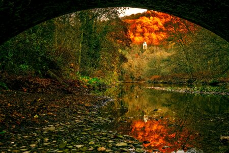 Riverbed nature bridge