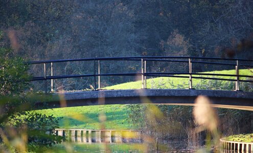 Trees landscape water