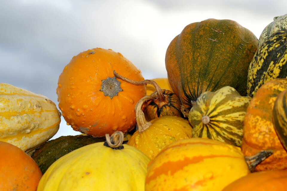 Halloween red yellow