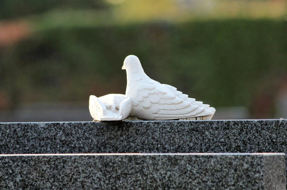 Cemetery nature outdoor