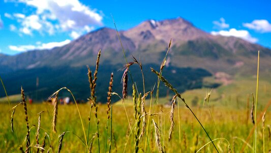 Grass distant hills snow mountain