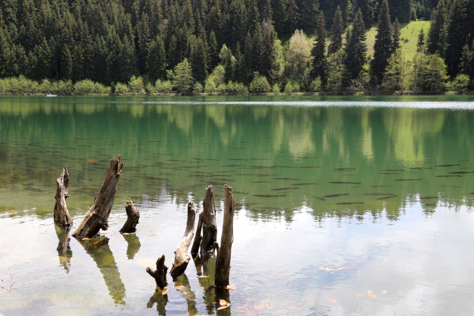 Karagöl lake forest