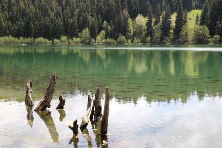 Karagöl lake forest photo