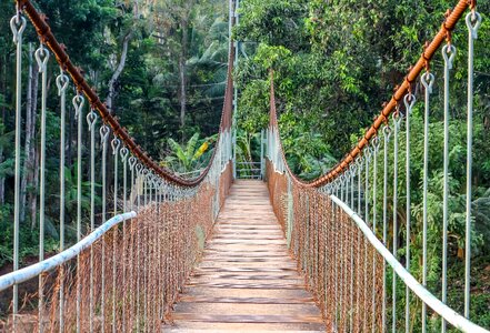 Bridge tourism green