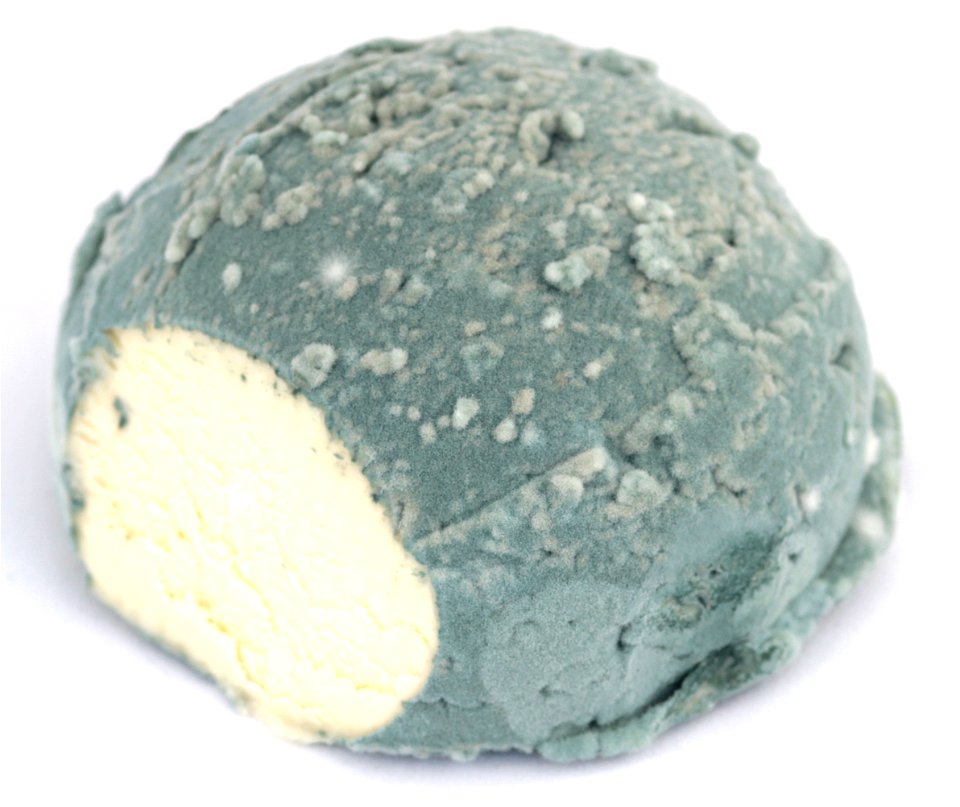 Blaues Belper Hirn 5 (3 Semaines Au Frigo)