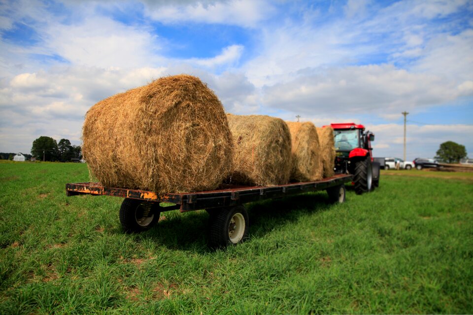 Carrying s grass