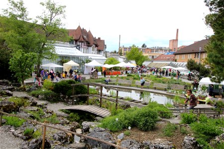 Marché De Printemps 2017 1F