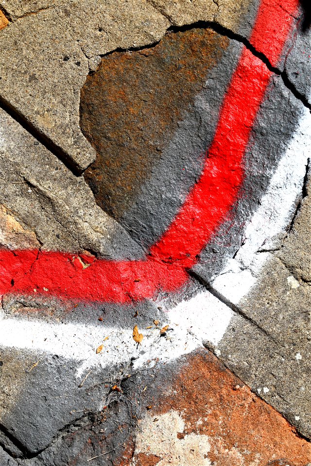 Paint