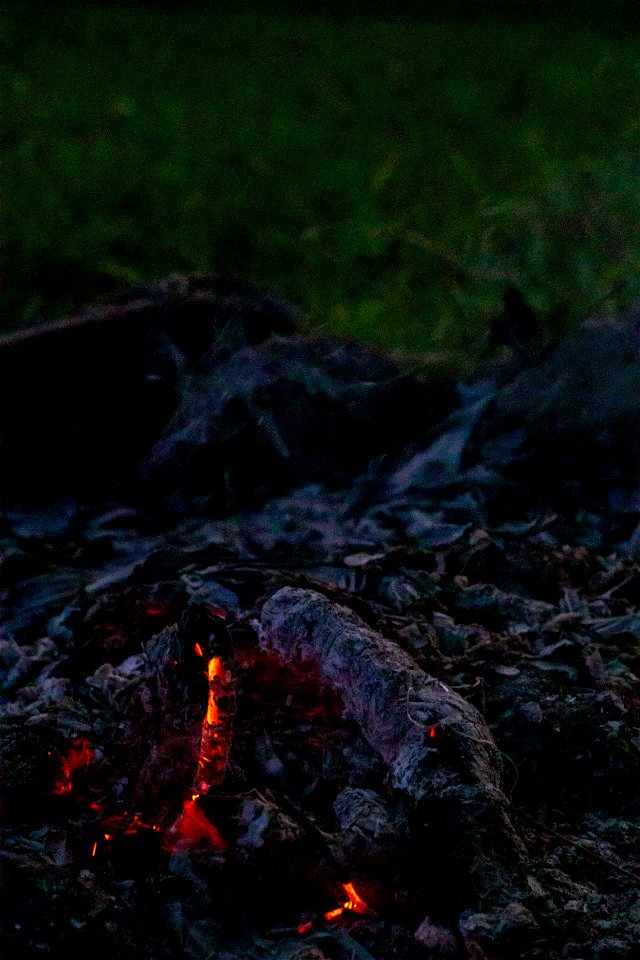 Fire