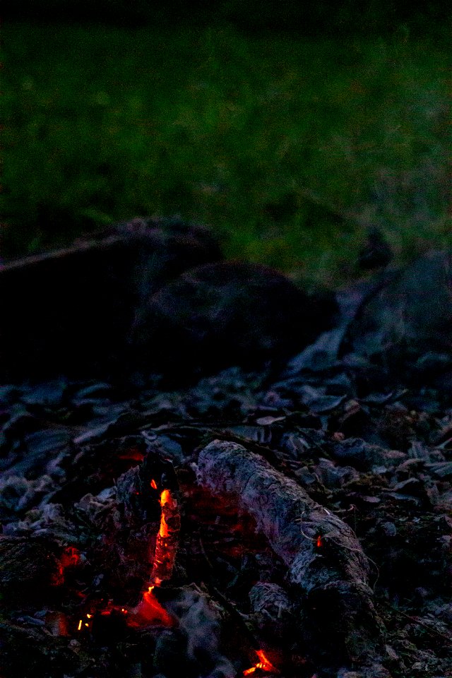 Fire