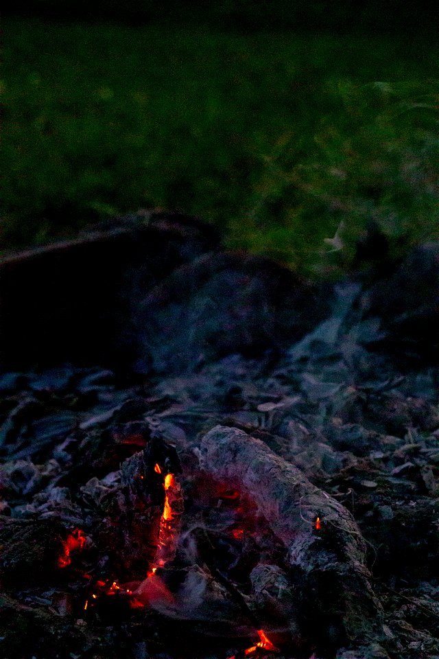 Fire
