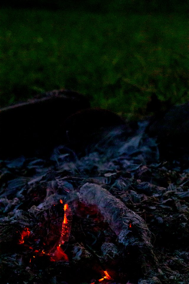 Fire