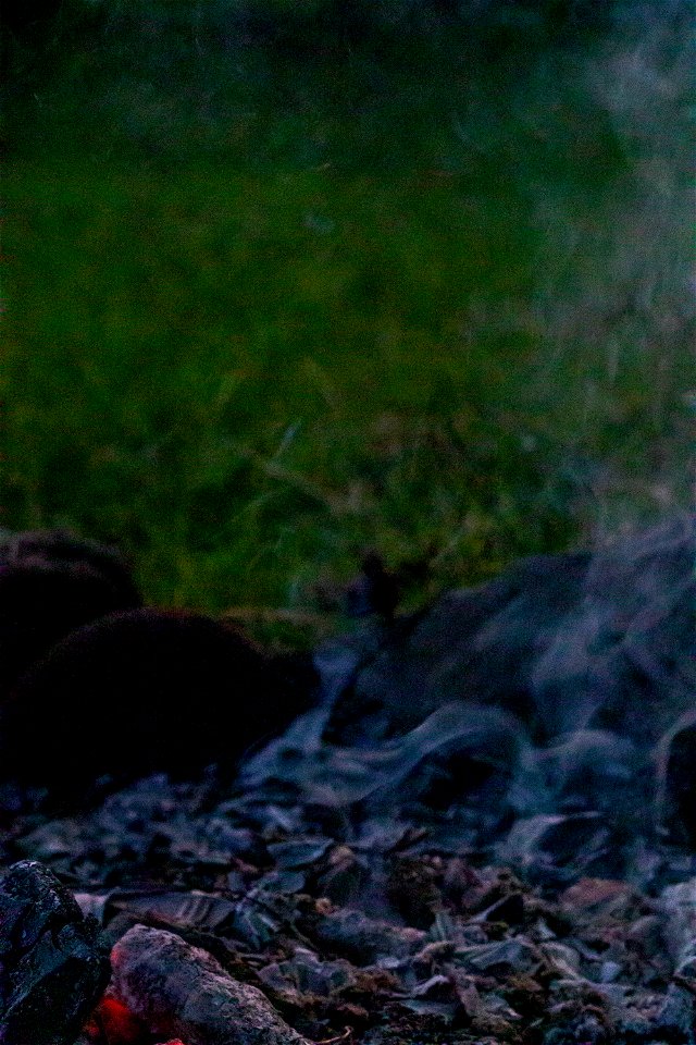Fire