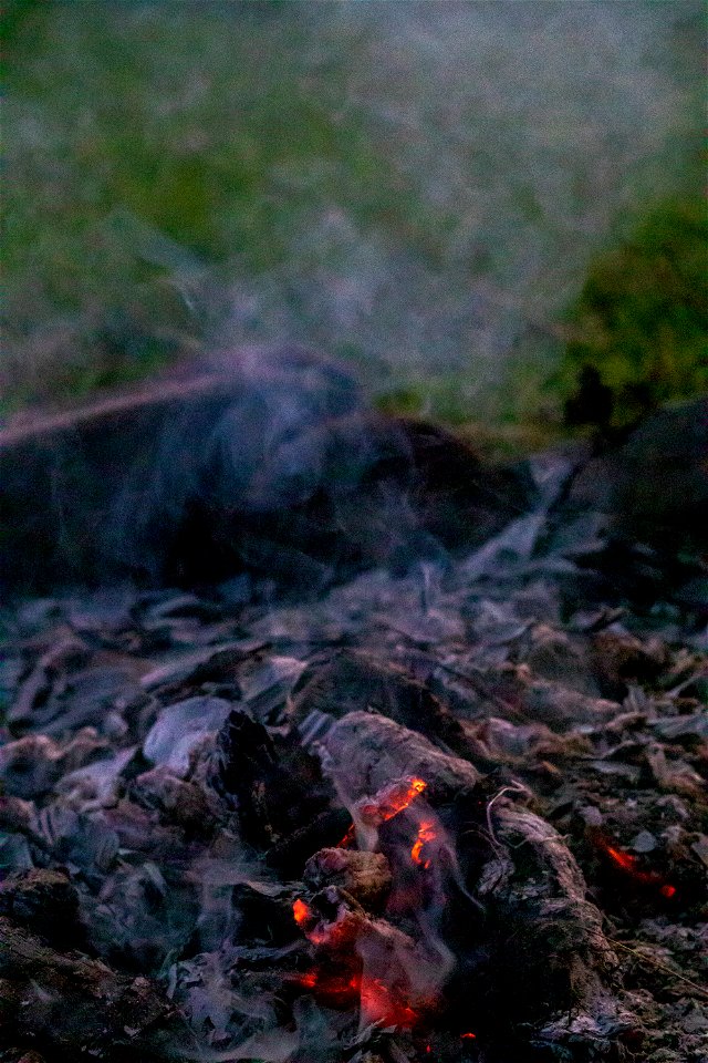 Fire