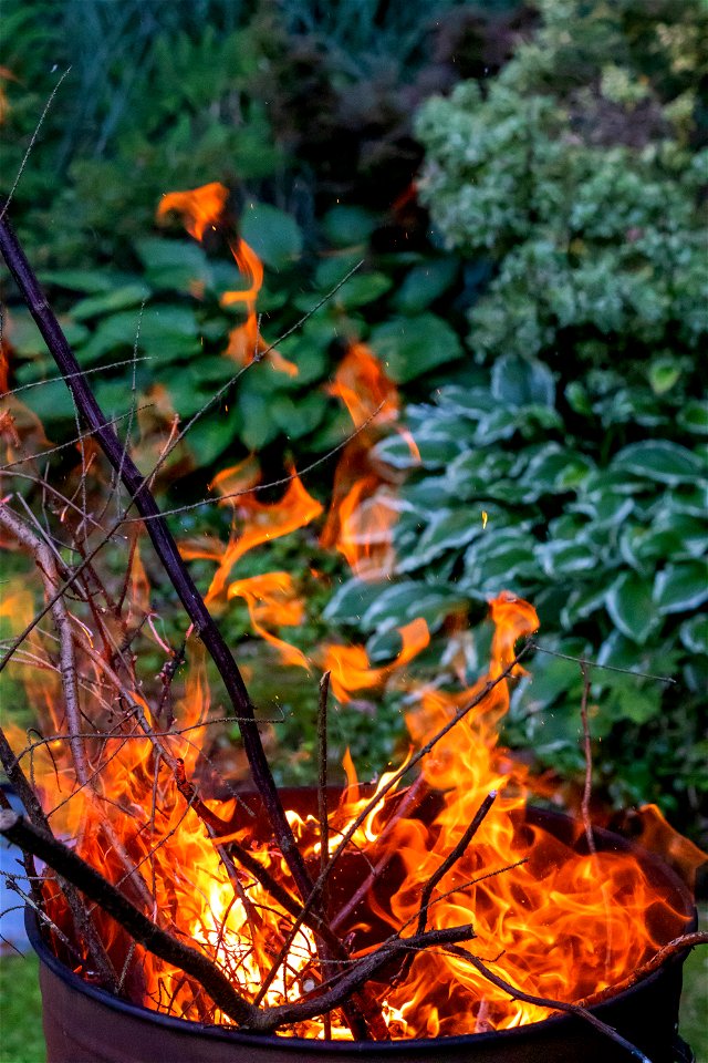 Fire