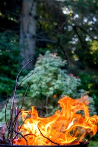 Fire