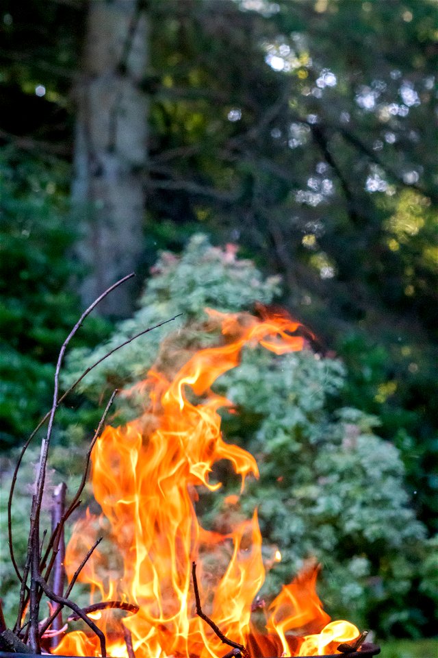 Fire