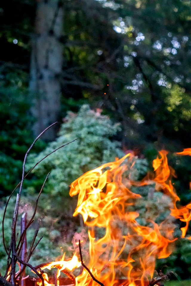 Fire