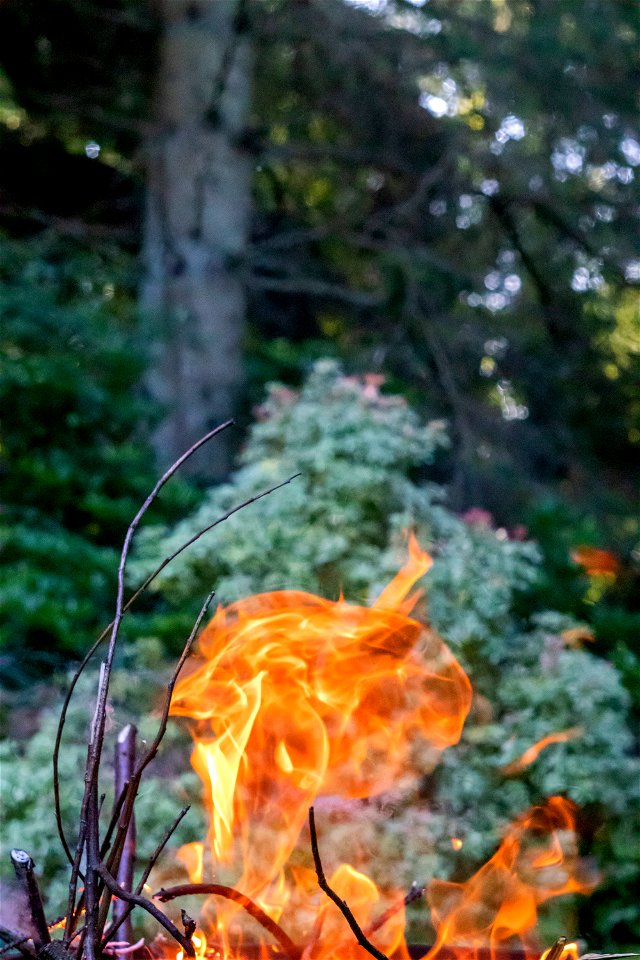 Fire