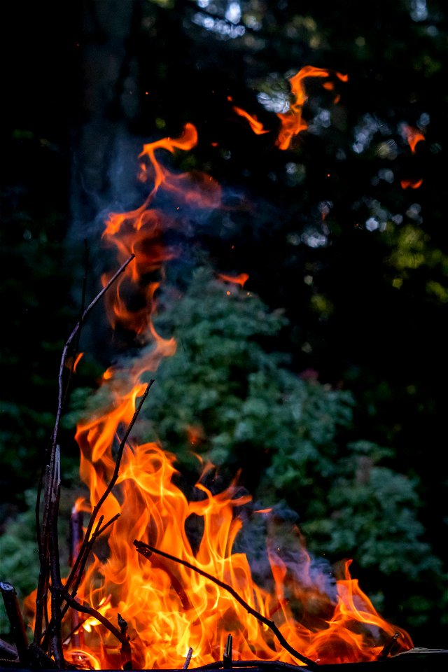 Fire