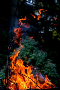 Fire