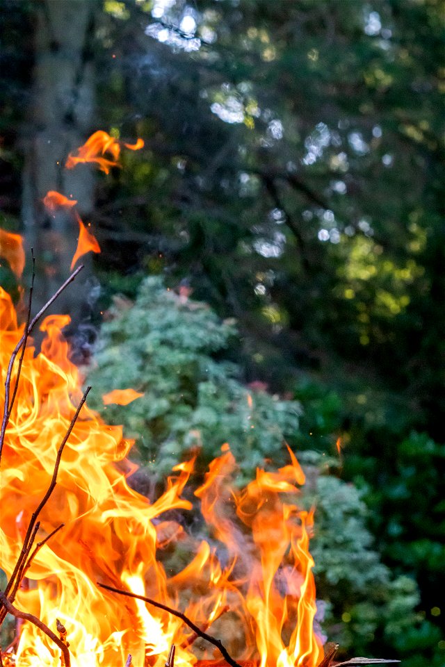 Fire