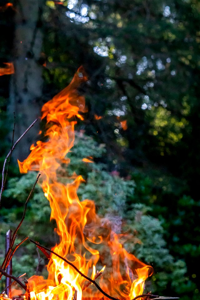 Fire