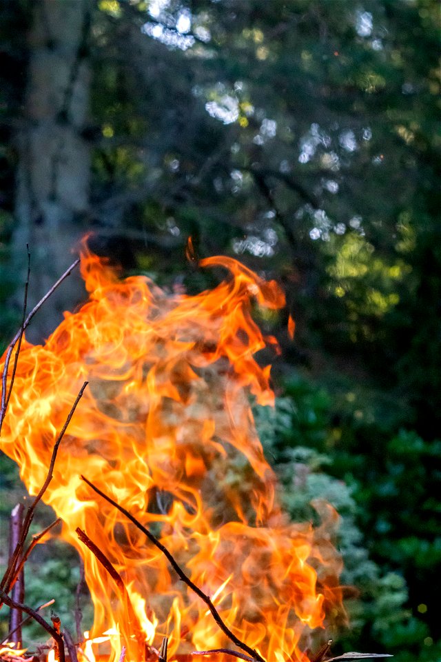 Fire