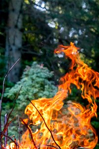 Fire