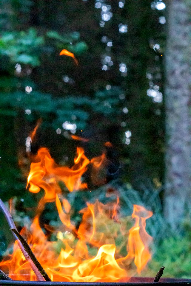 Fire