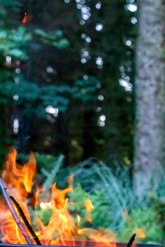 Fire