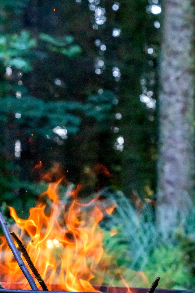 Fire
