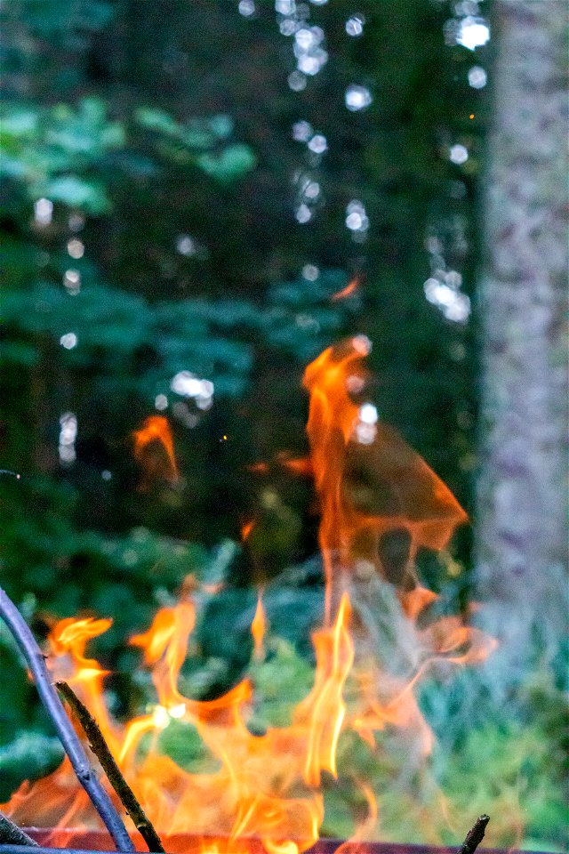 Fire