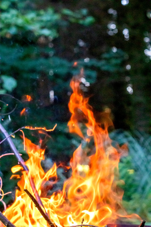 Fire