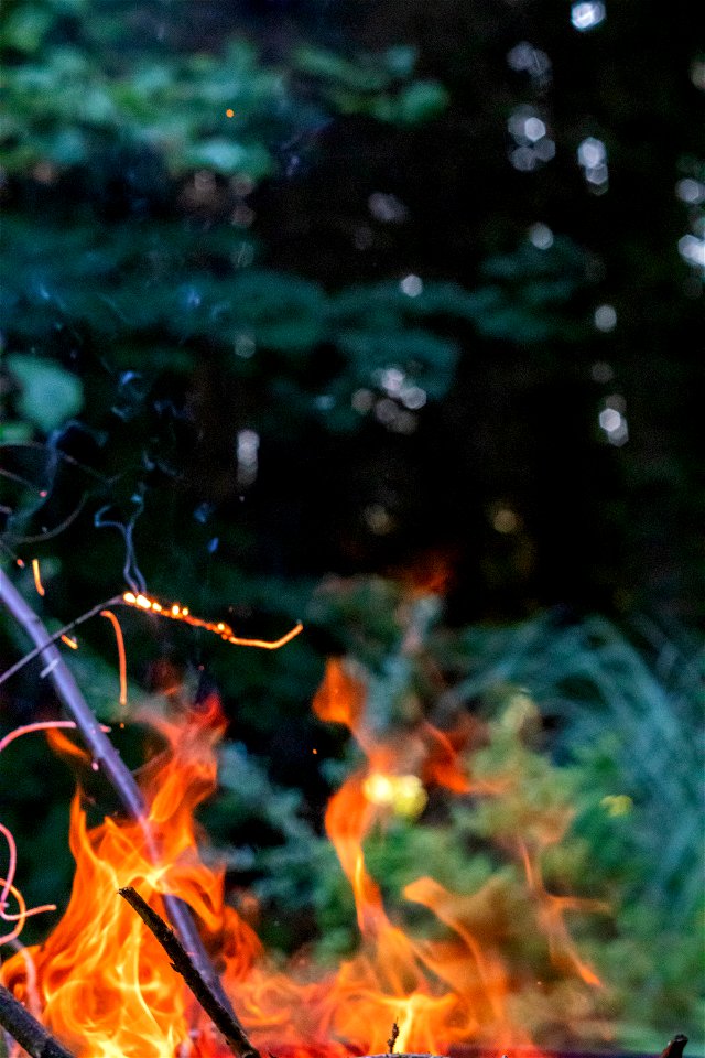 Fire