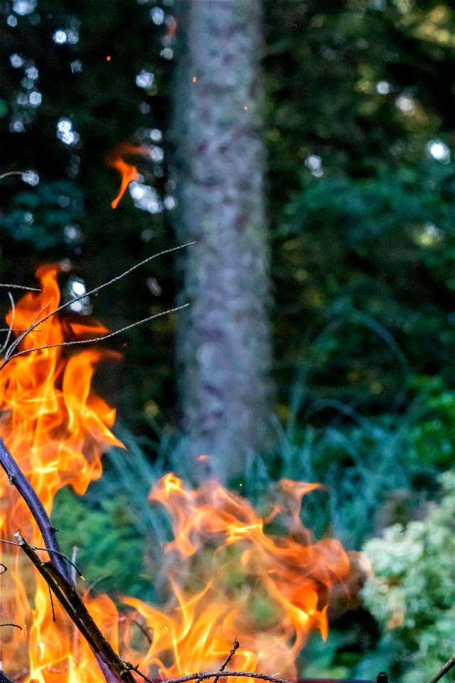 Fire