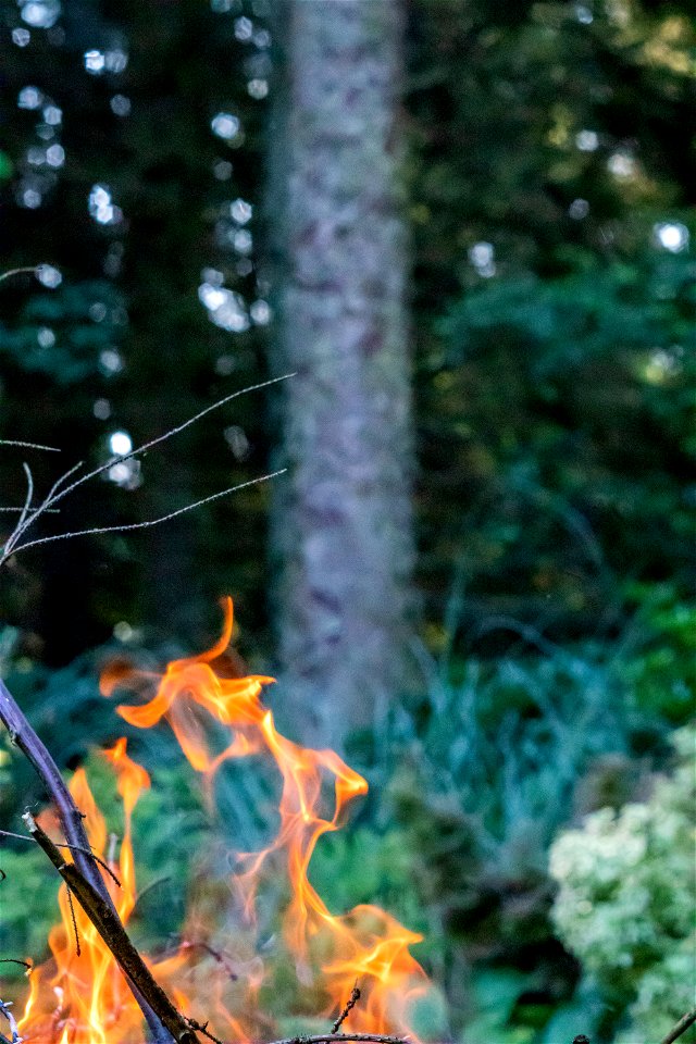 Fire
