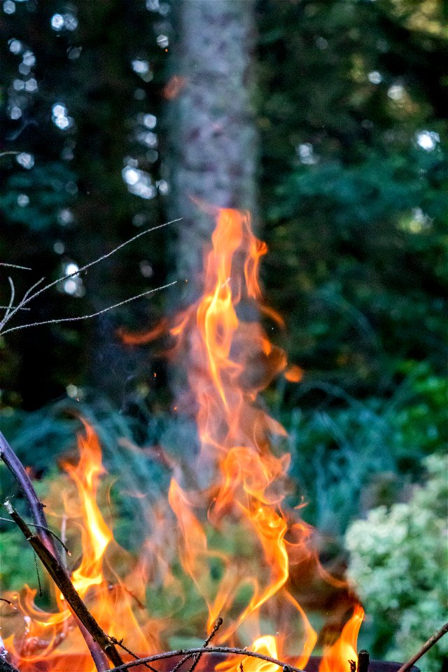 Fire