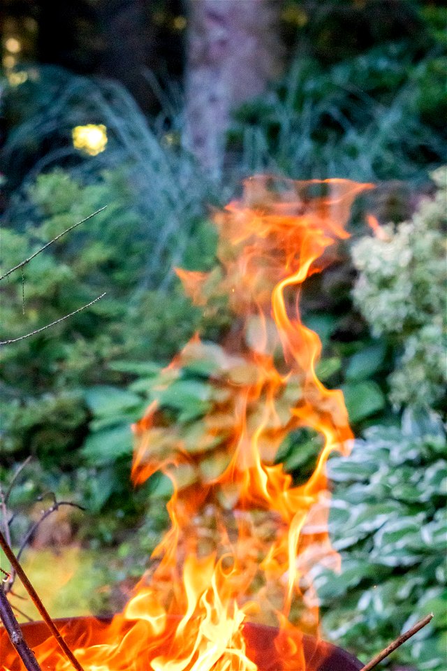 Fire