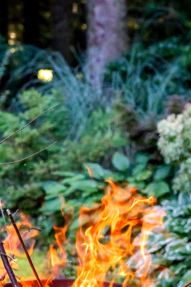 Fire