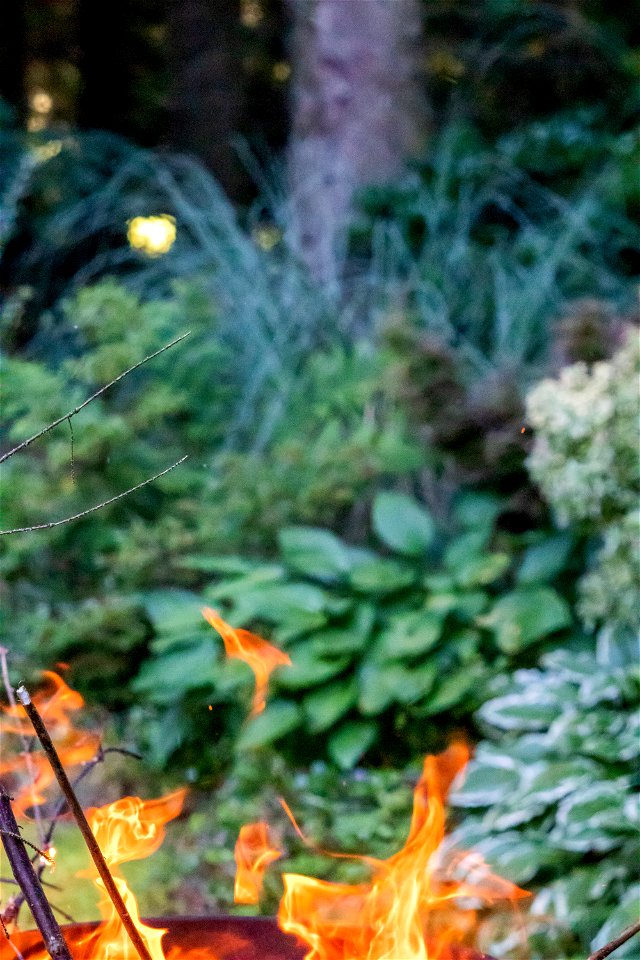 Fire
