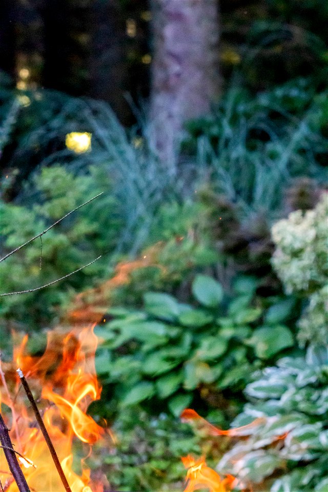 Fire