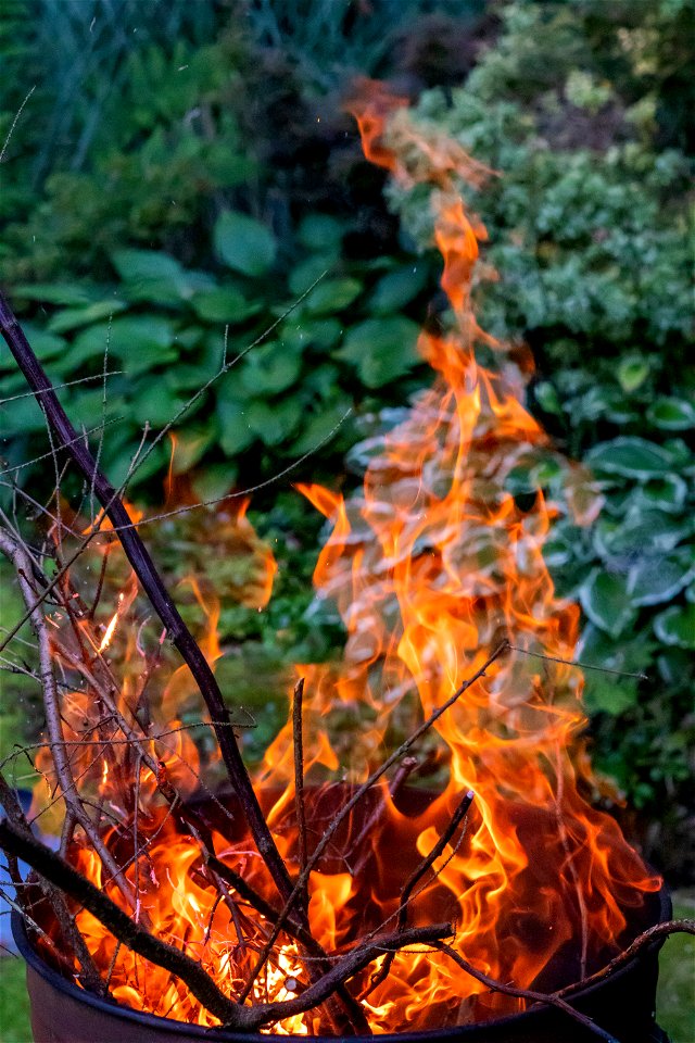 Fire