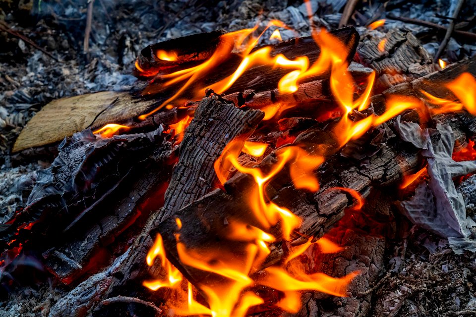 Fire